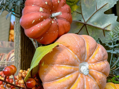 CC Orchard Thanksgiving Nov24 Google 1200x900.1