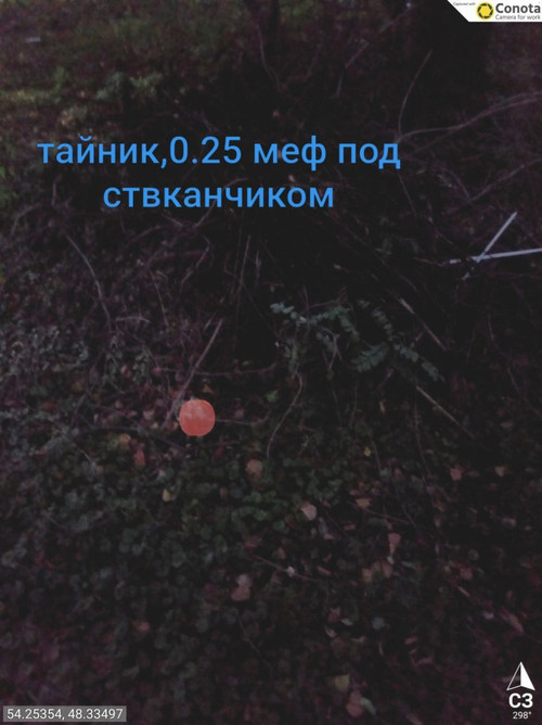 6ac7dcf249f87.jpg
