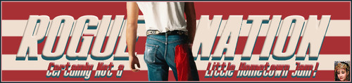 BornUSA Banner.jpg