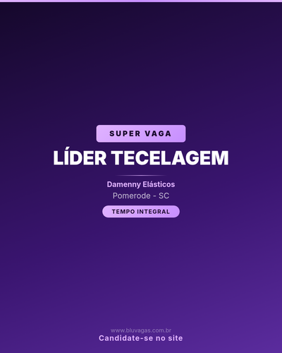 lider tecelagem damenny elasticos capa.png