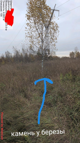 6ac7a91c29d47.jpg