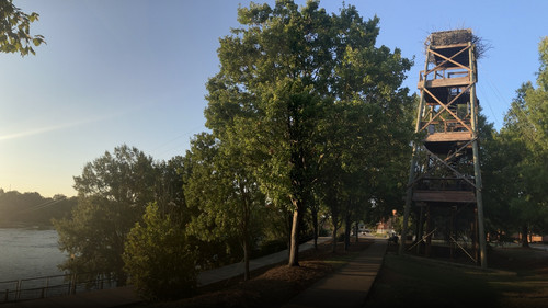 c71959a972b0.jpg