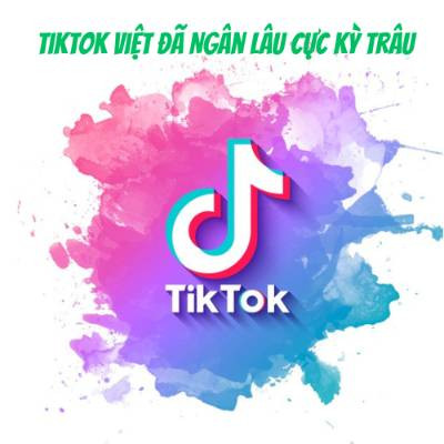 Topp 15 Cách kiếm tiền trên TikTok hiệu quả