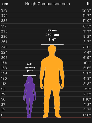 IMG 0103.png