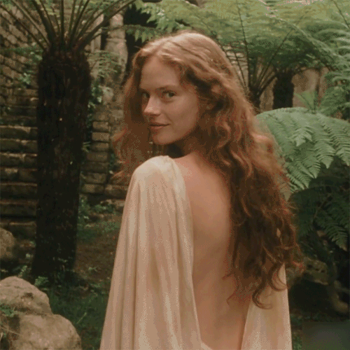 hide & seek.gif