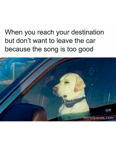 random memes tagthatfool 28 6ac63fc18ede2 700 bordered.jpg