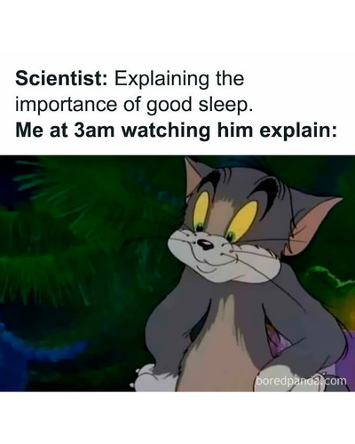 random memes tagthatfool 21 6ac633ab5c420 700 bordered.jpg