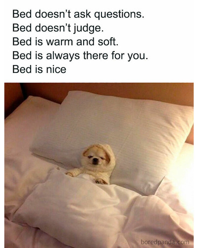 random memes tagthatfool 18 6ac63256109a9 700 bordered.jpg