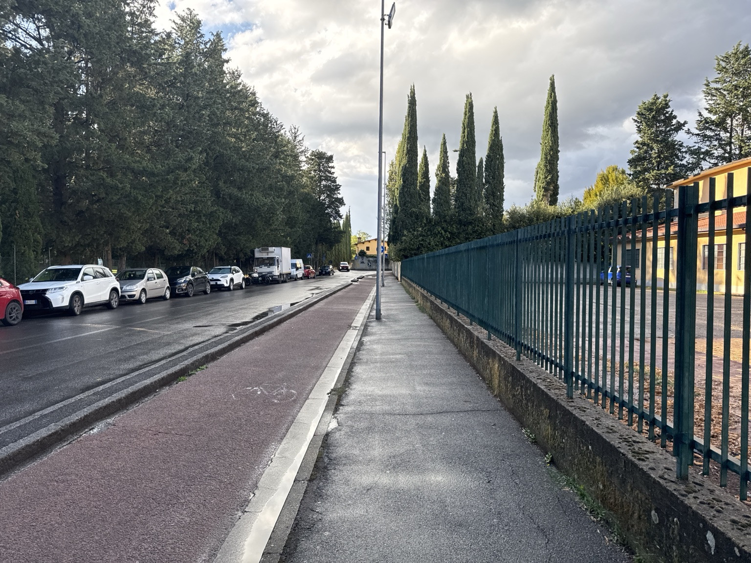 Dopo la pioggia, i cipressi accesi