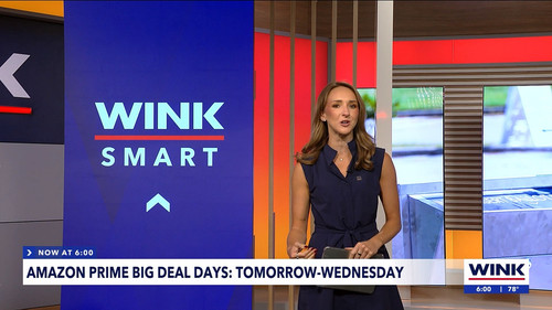 10.05 11.00.00 WINK News at 6 00am ᴺᵉʷ. Morning news coverage..ts snapshot 00.01.15.026.jpg