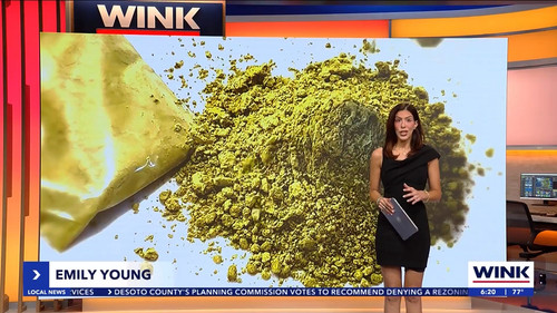 10.07 11.00.00 WINK News at 6 00am ᴺᵉʷ. Morning news coverage..ts snapshot 00.21.42.776