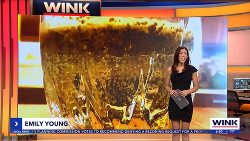 10.07 11.00.00 WINK News at 6 00am ᴺᵉʷ. Morning news coverage..ts snapshot 00.21.45.193