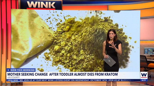 10.07 11.00.00 WINK News at 6 00am ᴺᵉʷ. Morning news coverage..ts snapshot 00.22.11.780