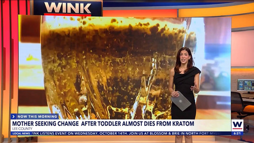 10.07 11.00.00 WINK News at 6 00am ᴺᵉʷ. Morning news coverage..ts snapshot 00.22.14.197