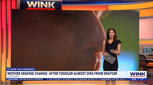 10.07 11.00.00 WINK News at 6 00am ᴺᵉʷ. Morning news coverage..ts snapshot 00.21.54.861