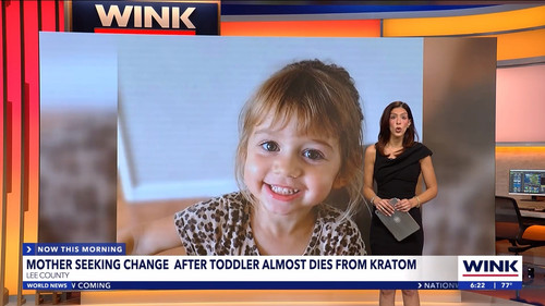 10.07 11.00.00 WINK News at 6 00am ᴺᵉʷ. Morning news coverage..ts snapshot 00.23.46.044