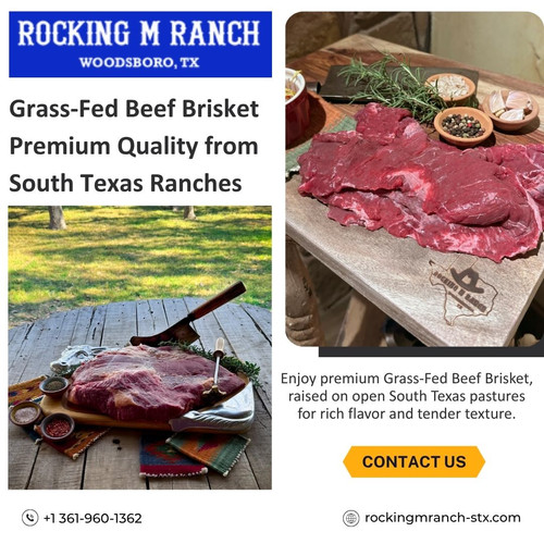 Grass Fed Beef Brisket Premium Quality from South Texas Ranches.jpg