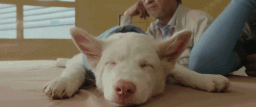 ezgif.com crop (6).gif