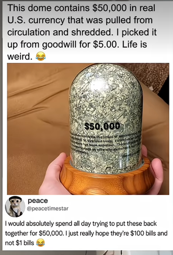 1000001138