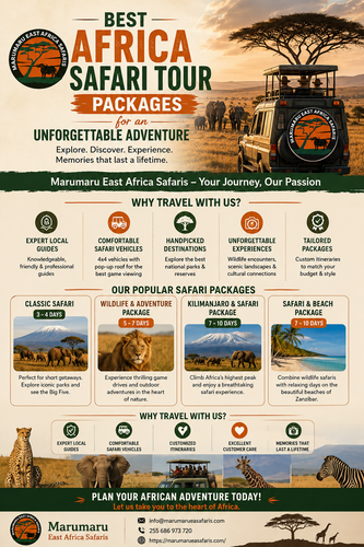 Best Africa Safari Tour Packages for an Unforgettable Adventure.png