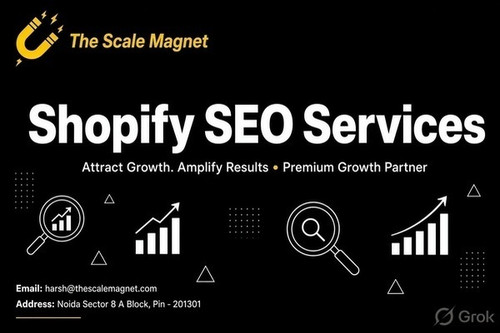 How Can Shopify SEO Services Help Improve Your Store Rankings?.jpg