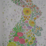 CIMG0340