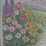 CIMG0344
