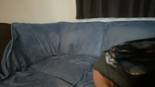 kiwikanga 2026 09 03 01 41 00.mp4.thumb.1
