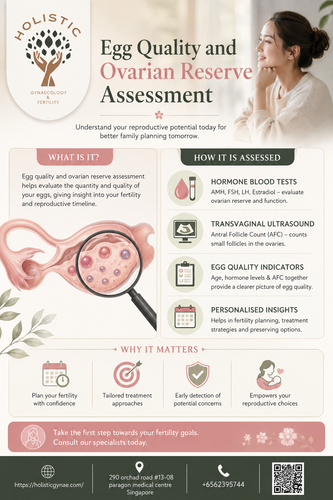 Egg Quality and Ovarian Reserve Assessment1.png