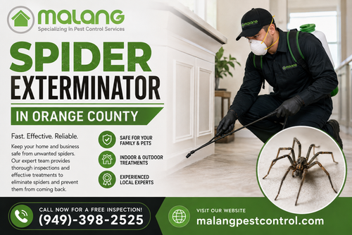 Spider Exterminator in Orange County Malang Pest Control.png