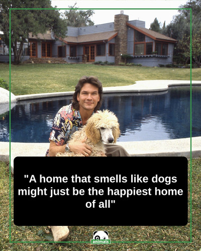 draft 427.jpg