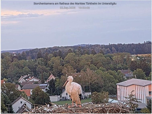 MWSnap109.jpg