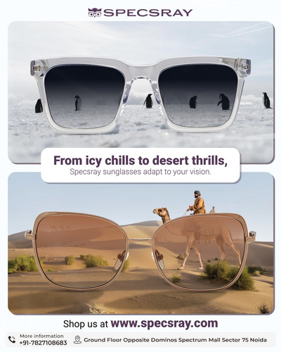 Stylish Sunglasses Collection for Every Adventure | SpecsRay.jpg