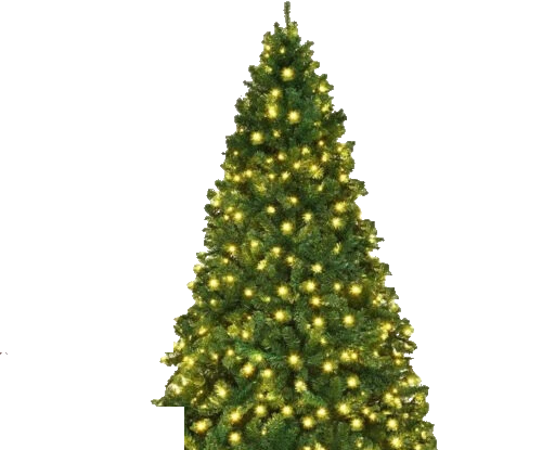 tree lifestyle white bg.png