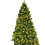 tree lifestyle white bg