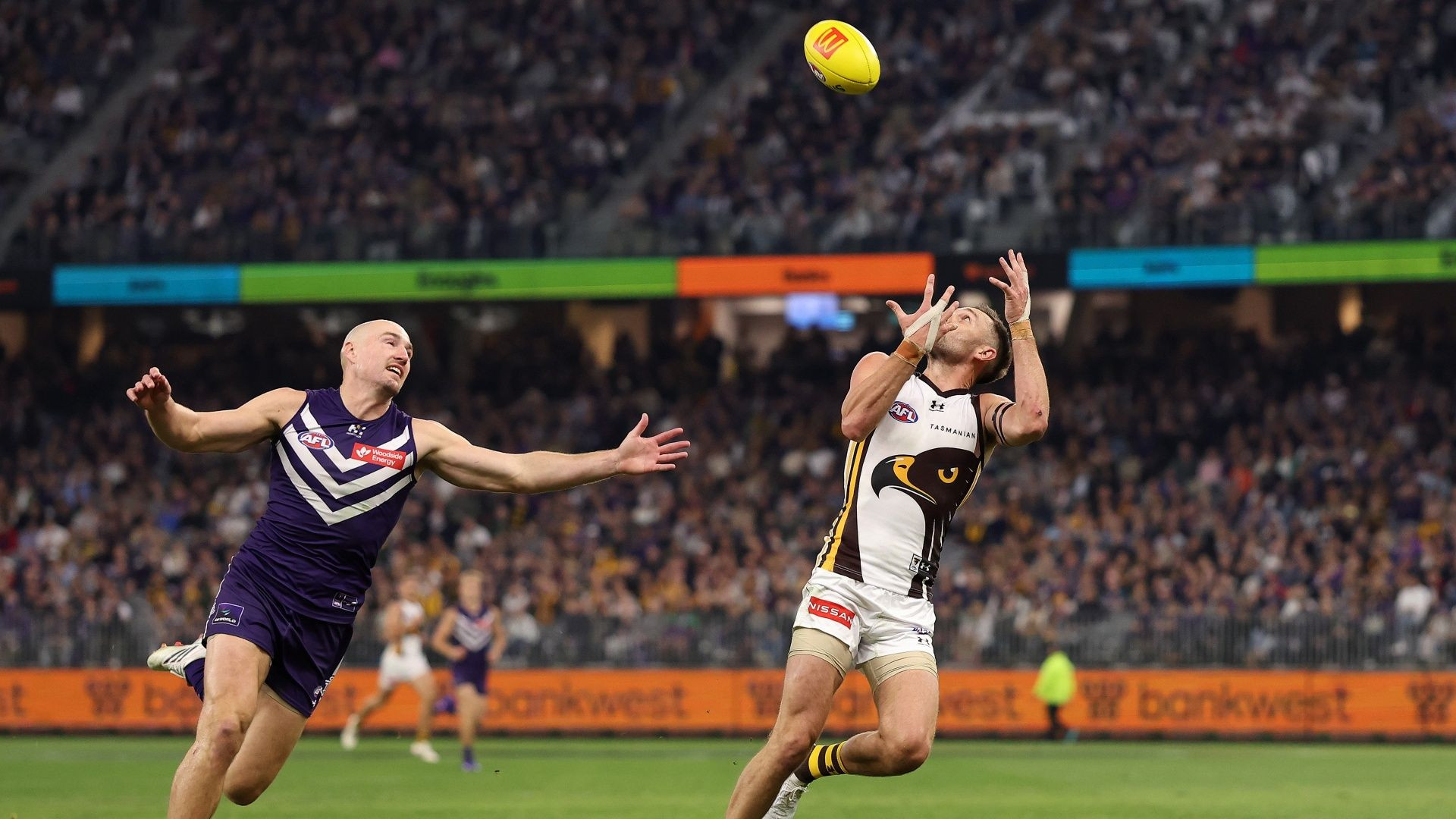 Xem trực tiếp trận đấu Fremantle vs Hawthorn AFL 2026: Kênh chiếu, link xem miễn phí