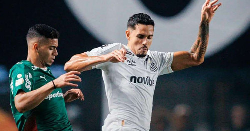 473510003 santos palmeiras.jpg