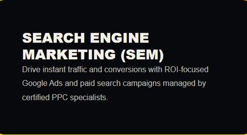 seo company delhi | seo services delhi.jpg
