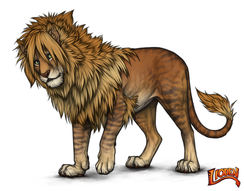 lioden wardrobe (3).png