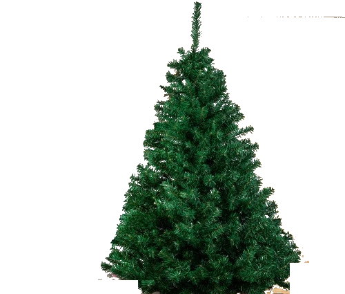 tree3 white bg.png