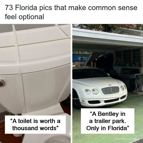 wild florida pics.jpg