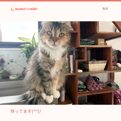 2f89ed45a5a5.png