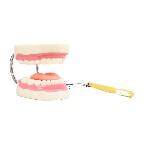 d07347b368ba37ac2276637181dd3b22 1400x.png