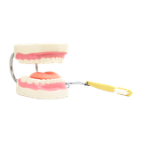 d07347b368ba37ac2276637181dd3b22 1400x