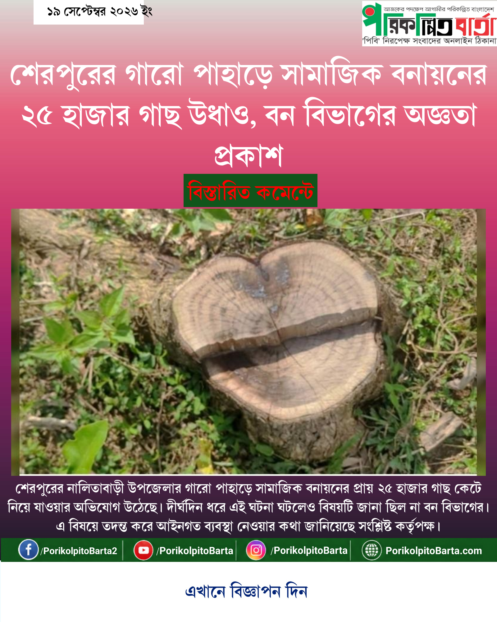 শেরপুরের গারো পাহাড়ে সামাজিক বনায়নের ২৫ হাজার গাছ উধাও, বন বিভাগের অজ্ঞতা প্রকাশ