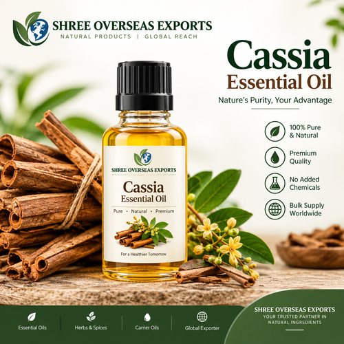 Pure Cassia Essential Oil Wholesale A B2B Guide to Sourcing from India.png