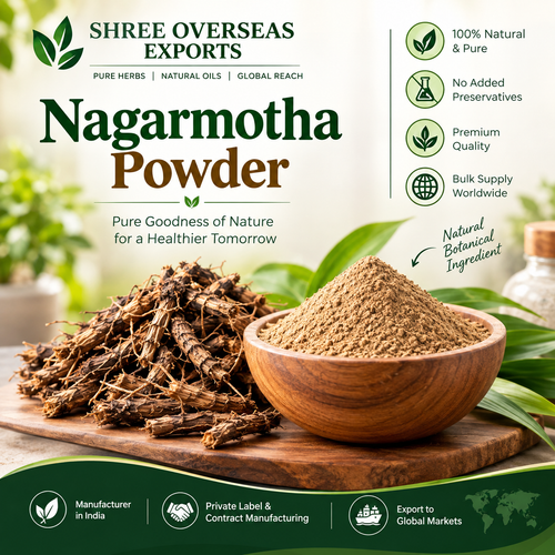 Private Label Nagarmotha Powder Manufacturer – Bulk Wholesale & Cosmetic Grade Supply from India.png