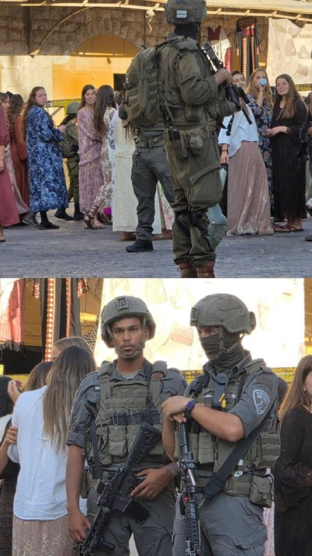صورة الخبر