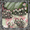 thumb.png