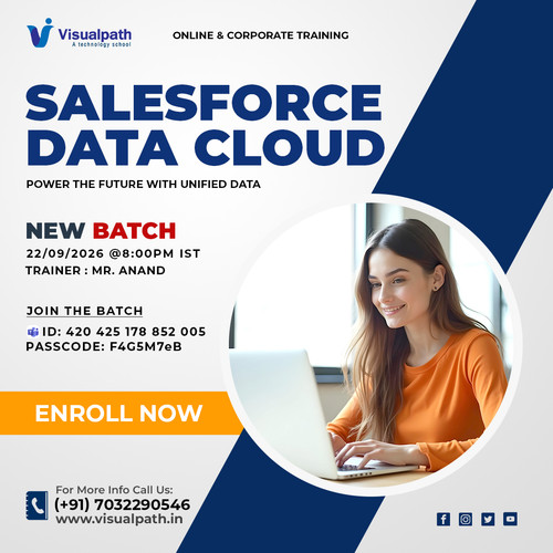 Salesforce Data Cloud Course Online.jpg